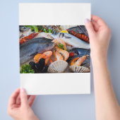 Diverse zeehonden flyer (Hand)