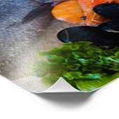 Diverse zeehonden foto afdruk (Hoek)