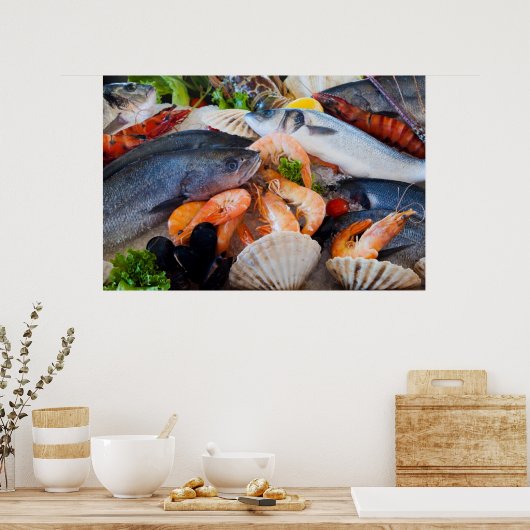 Diverse zeehonden poster (Keuken)