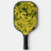 Diversen Mexicaans Oranje Plant Floral Pickleball Paddle (Voorkant)