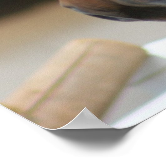 Diversifieerd Poster 2 (Hoek)