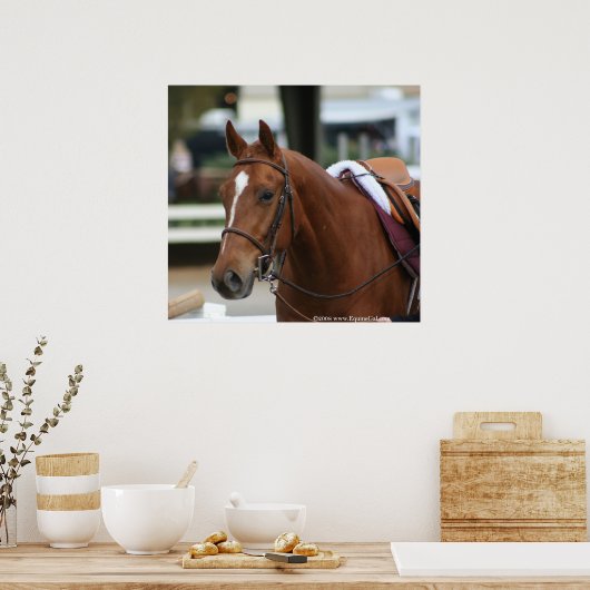 Diversifieerd Poster 2 (Keuken)