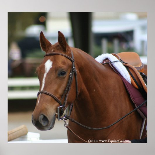 Diversifieerd Poster 2 (Voorkant)