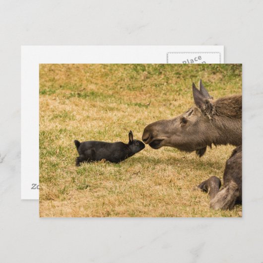 Diversiteit Briefkaart (Voorkant / Achterkant)