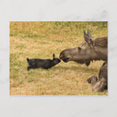 Diversiteit Briefkaart (Voorkant)