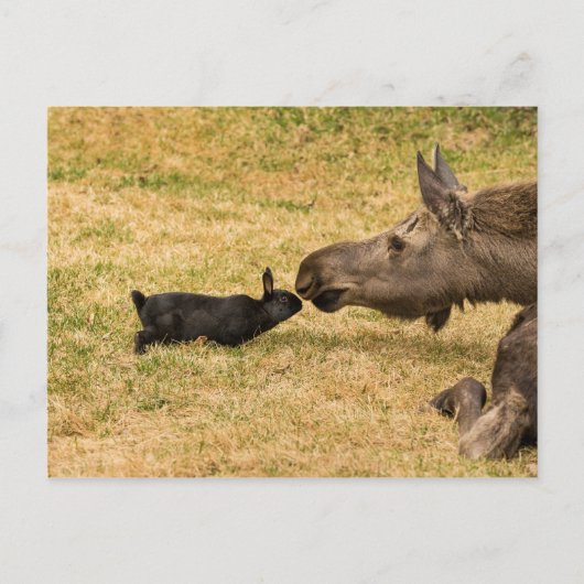 Diversiteit Briefkaart (Voorkant)