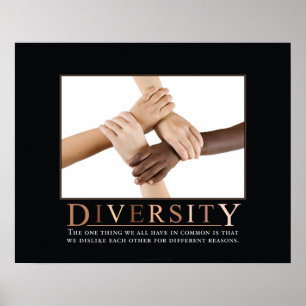 Diversiteit Demotivationeel Poster