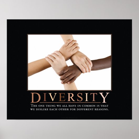 Diversiteit Demotivationeel Poster (Voorkant)