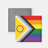 Diversiteit en inclusie Voortgang Pride Vlag Magneet (Voorkant / Achterkant)