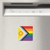 Diversiteit en inclusie Voortgang Pride Vlag Magneet (Insitu (Vaatwasser))