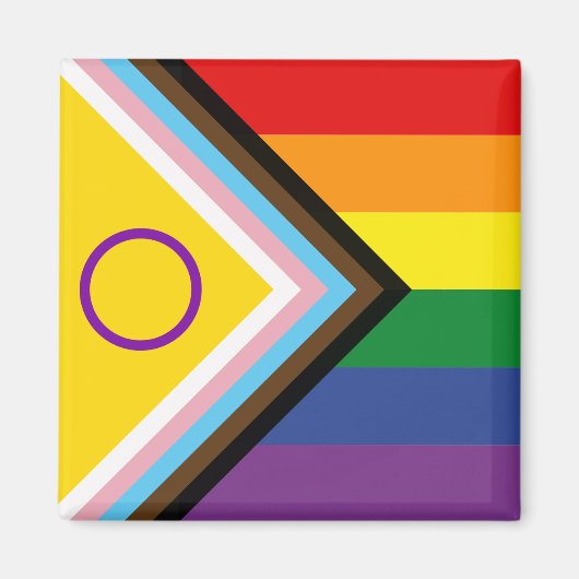 Diversiteit en inclusie Voortgang Pride Vlag Magneet (Voorkant)
