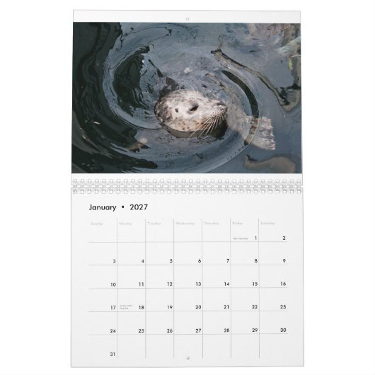 Diversiteit Kalender (Jan 2027)