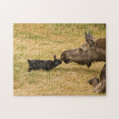 Diversiteit Legpuzzel (Horizontaal)