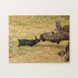 Diversiteit Legpuzzel