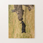 Diversiteit Legpuzzel (Verticaal)