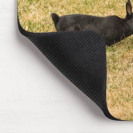 Diversiteit Muismat (Hoek)