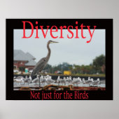 Diversiteit, niet alleen voor vogels poster (Voorkant)