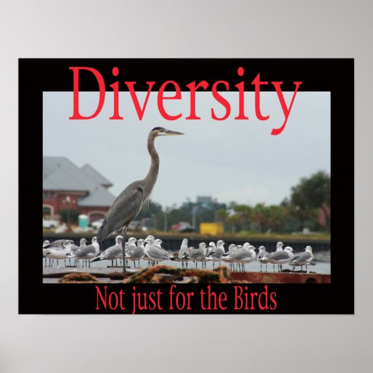 Diversiteit, niet alleen voor vogels poster (Voorkant)