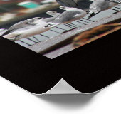 Diversiteit, niet alleen voor vogels poster (Hoek)