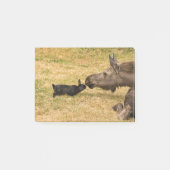 Diversiteit Post-it® Notes (Voorkant)