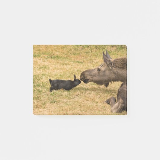 Diversiteit Post-it® Notes (Voorkant)