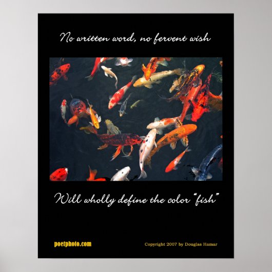 Diversiteit poster (Voorkant)