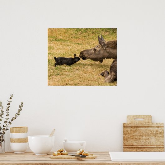 Diversiteit Poster (Keuken)
