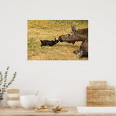 Diversiteit Poster (Keuken)