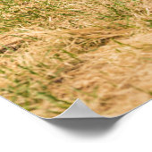 Diversiteit Poster (Hoek)