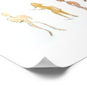 Diversiteit Poster (Hoek)