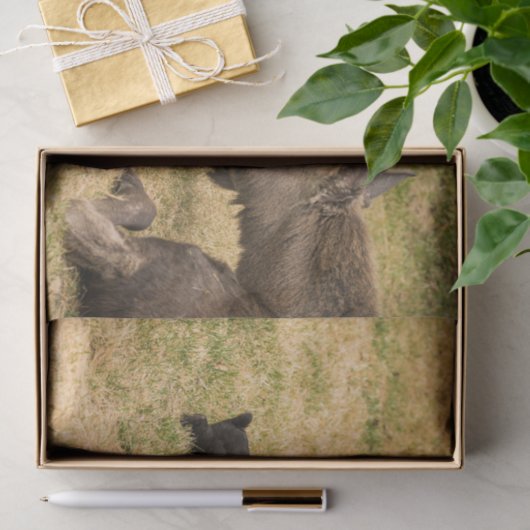 Diversiteit Tissuepapier (Geschenk)