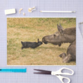 Diversiteit Tissuepapier (Craft)