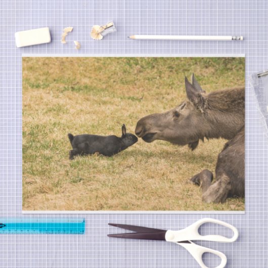 Diversiteit Tissuepapier (Craft)