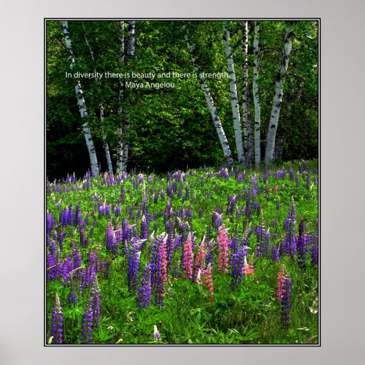 Diversiteit uitgedrukt in een lupine veld poster (Voorkant)