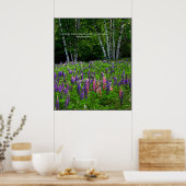Diversiteit uitgedrukt in een lupine veld poster (Keuken)