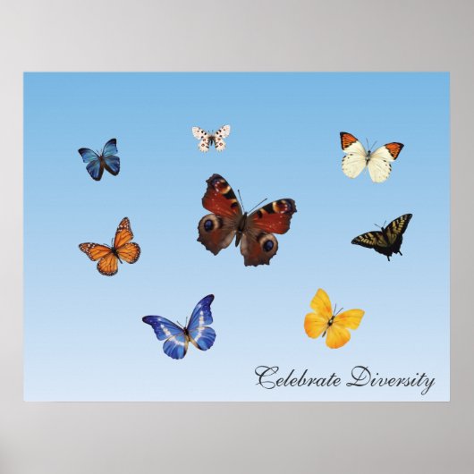 Diversiteit vieren poster (Voorkant)