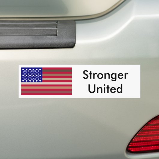 Diversity United Sticker (Op auto)