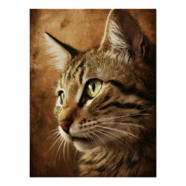 Dives Cat 3-Posters Perfect Poster