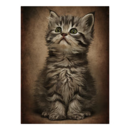 Dives Cat 4 Perfect Poster