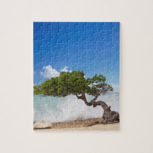 Divi Divi Boom, Eagle Beach, Aruba, Caribisch gebi Legpuzzel