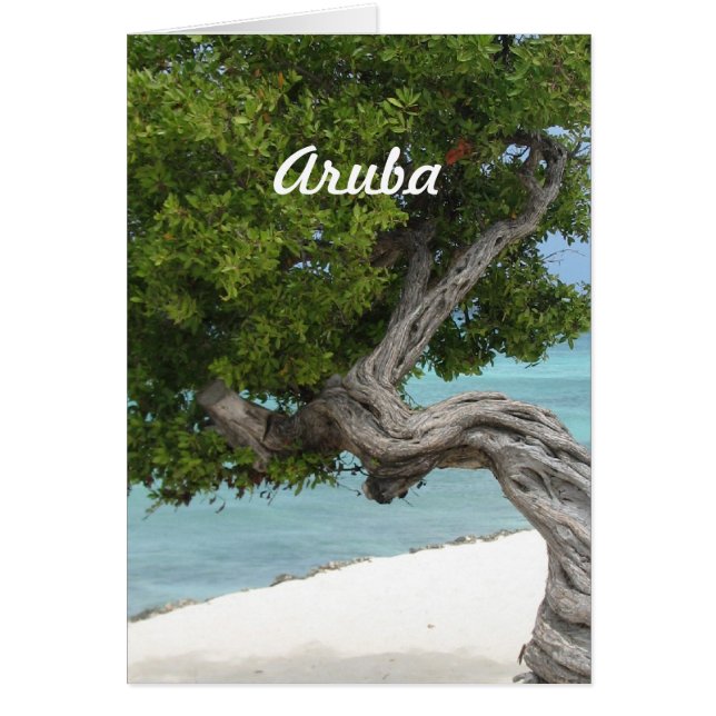 Divi Divi-boom in Aruba (Voorkant)