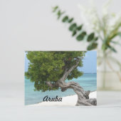 Divi Divi-boom in Aruba Briefkaart (Staand voorkant)