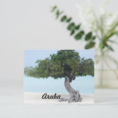Divi Divi Tree Briefkaart (Staand voorkant)