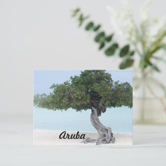 Divi Divi Tree Briefkaart (Staand voorkant)