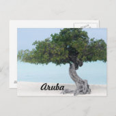 Divi Divi Tree Briefkaart (Voorkant / Achterkant)