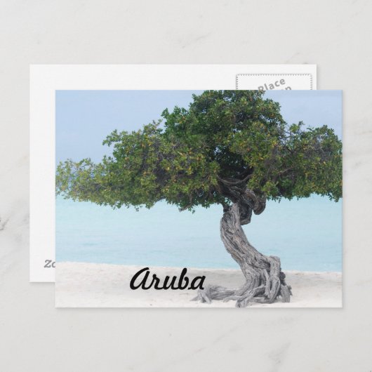 Divi Divi Tree Briefkaart (Voorkant / Achterkant)