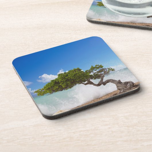 Divi Divi Tree, Eagle Beach, Aruba, Caribisch gebi Bier Onderzetter (Linkerzijde)