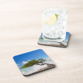 Divi Divi Tree, Eagle Beach, Aruba, Caribisch gebi Bier Onderzetter (Rechterzijde)