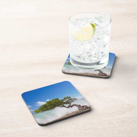 Divi Divi Tree, Eagle Beach, Aruba, Caribisch gebi Bier Onderzetter (Rechterzijde)