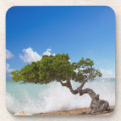 Divi Divi Tree, Eagle Beach, Aruba, Caribisch gebi Bier Onderzetter (Voorkant)